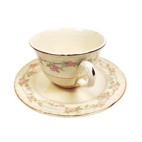 Vintage Tea Cup And Saucer Crooksville China USA Gold Trim Farmhouse 1950's - Picture 1 of 7